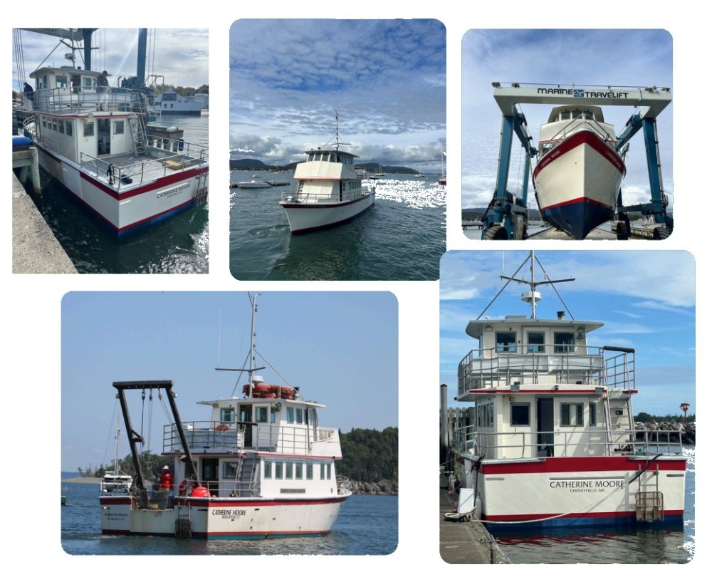 Off season work for Catherine Moore Conversion