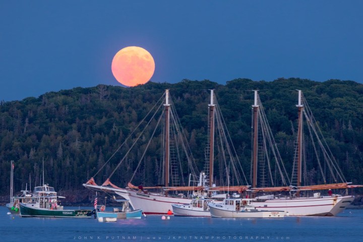 Full moon rising over boats in a calm harbor with a forested hill in the background.