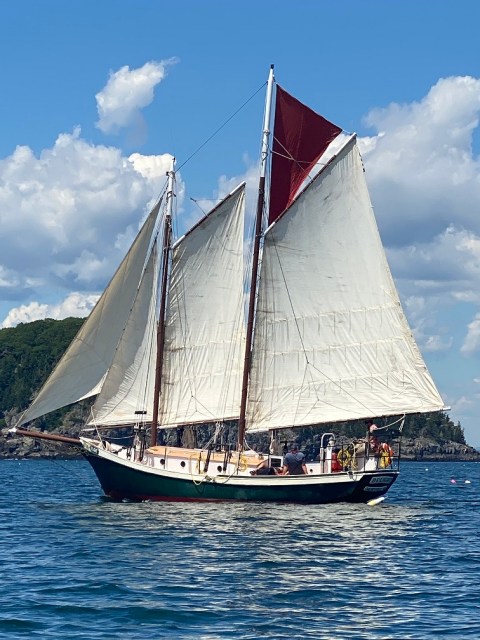Schooner Delight under sail summer 2020