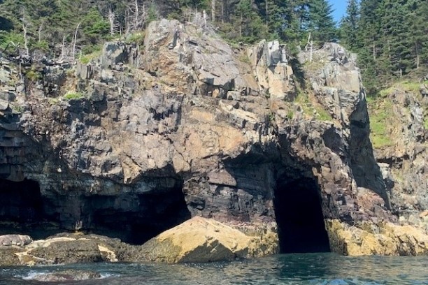 a rocky mountain with trees in the background