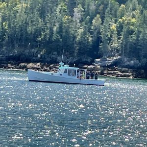 a small boat in a body of water with a mountain in the background