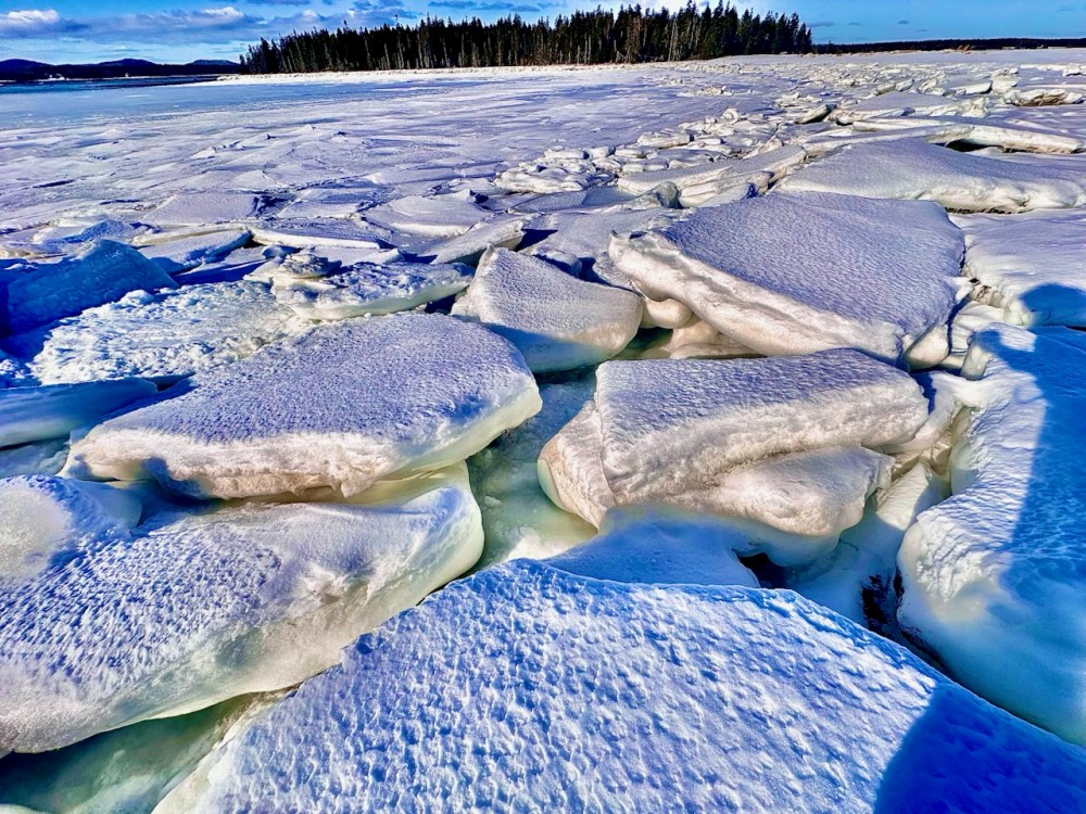 Frozen lake with cracked ice and distant treeline under a blue sky.